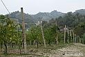VBS_7879 - Là, dove finisce la strada, comincia un mondo